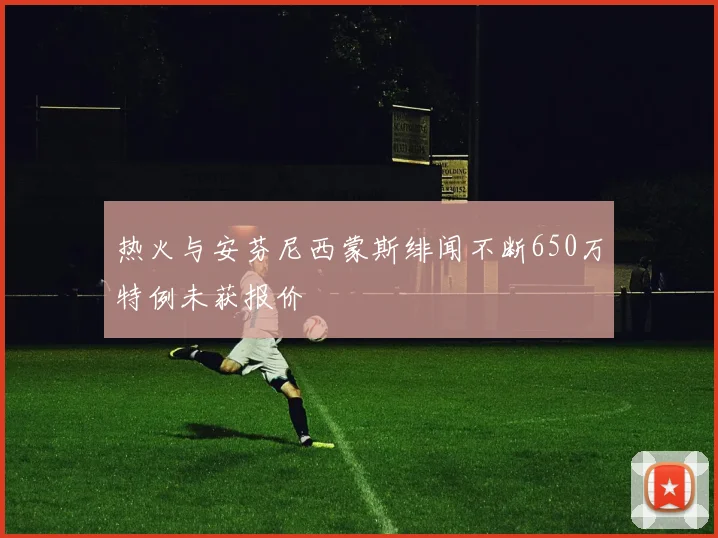 热火与安芬尼西蒙斯绯闻不断650万特例未获报价
